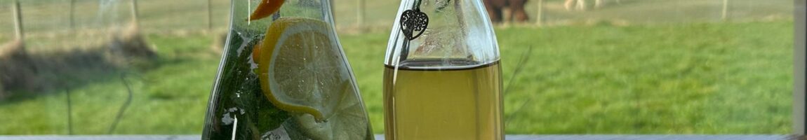 Vier jouw kracht en zet jezelf in het licht.